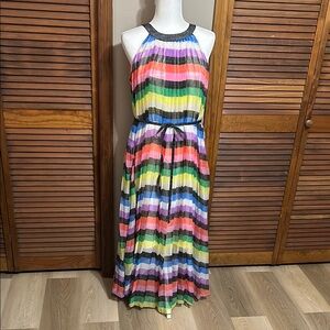 New York & Company Multicolor Striped Maxi Dress
